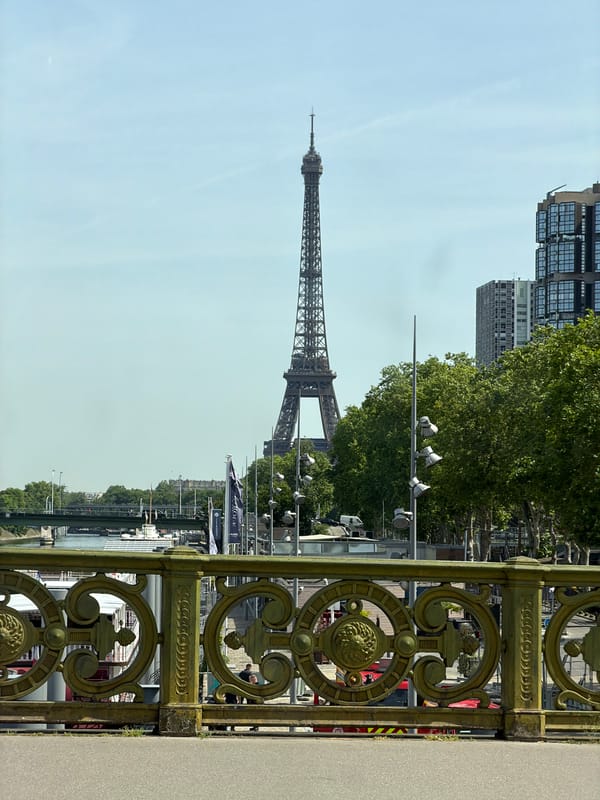 Tourist captures classic Paris views of Eiffel Tower, Seine River