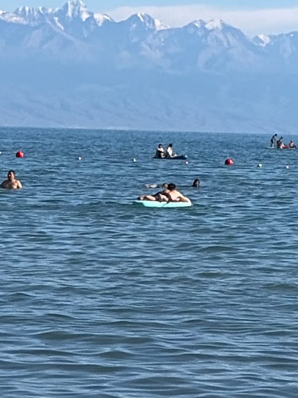 Beach day and countryside scenes across a summer morning
