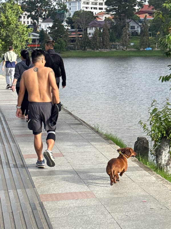 Daily Life Unfolds Around Da Lat's Xuan Huong Lake