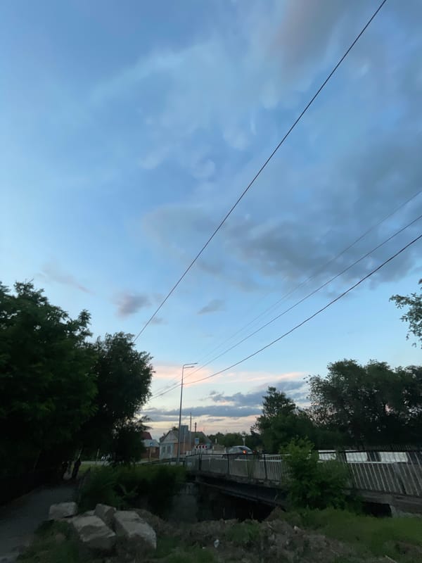Summer evening in Donskoye: park paths, cyclists, and dusk skies