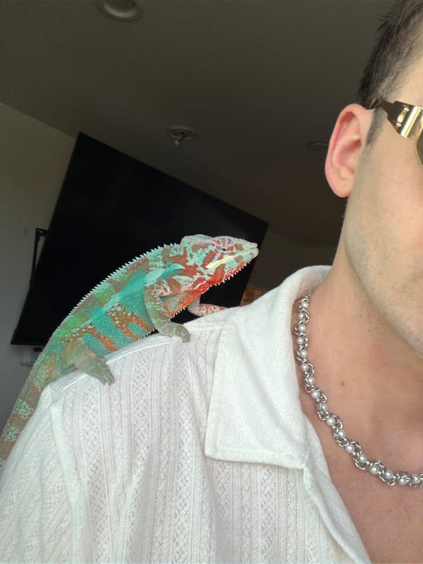 Man photographed with reptile indoors in Los Angeles