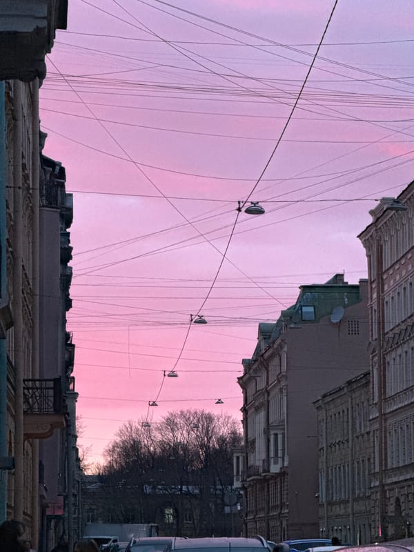 Saint Petersburg's overhead cable network documented by witness