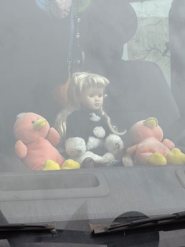 Children's toys viewed through dusty window in Montreuil