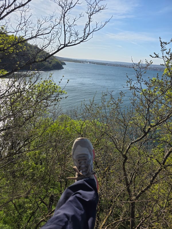 Clear coastal view captured overlooking Black Sea near Varna
