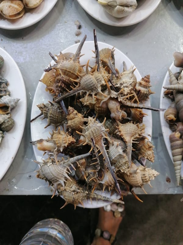 Evening street dining and local life documented in Vietnam