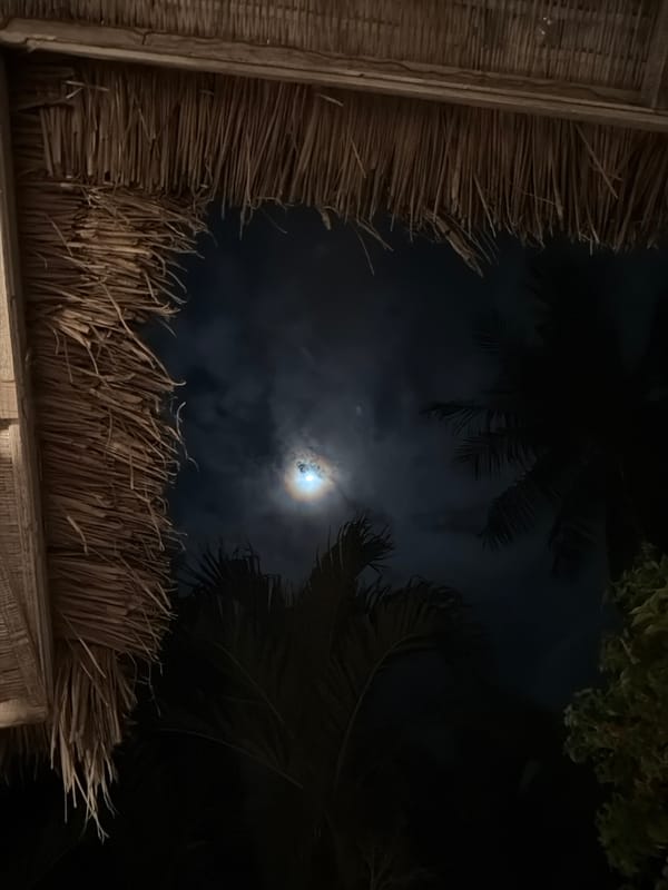Nighttime scenes captured in Indonesia include moon, pool