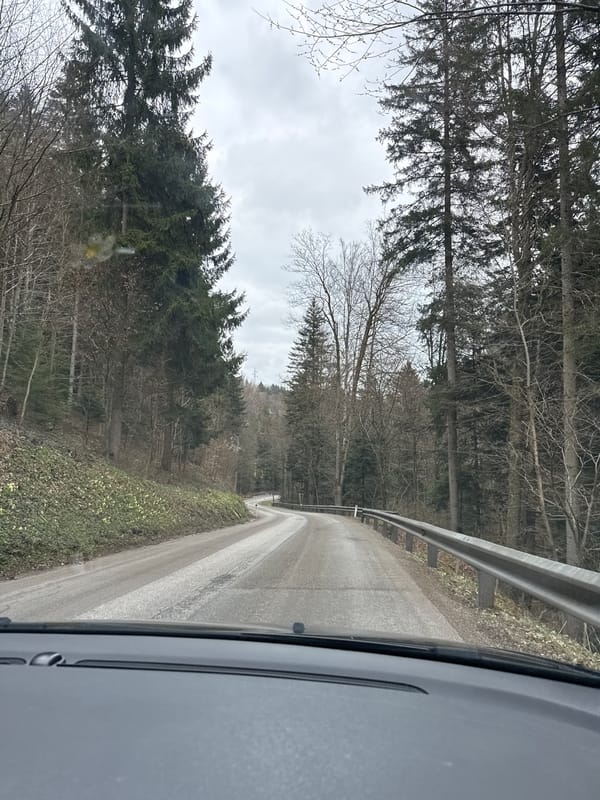 Vehicle drives through forested road near St. Leonhard am Wald