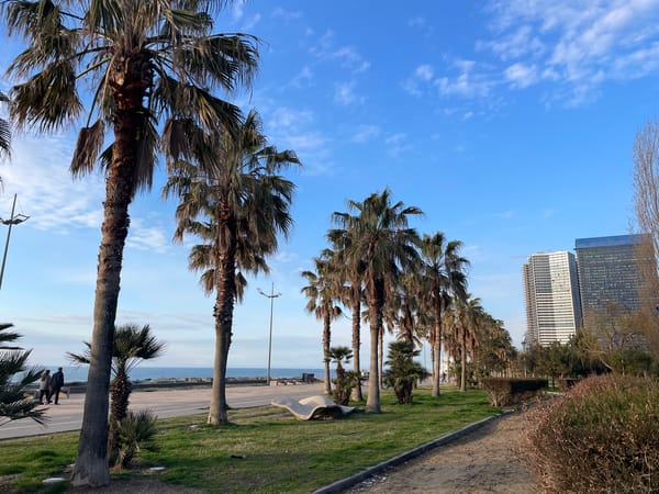 Coastal activities documented along Batumi's Black Sea promenade