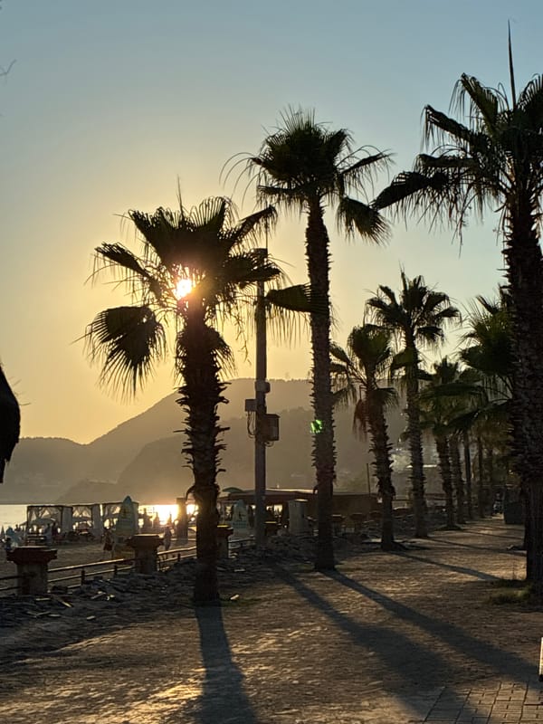 Cats and golden hour on Alanya's beachfront promenade
