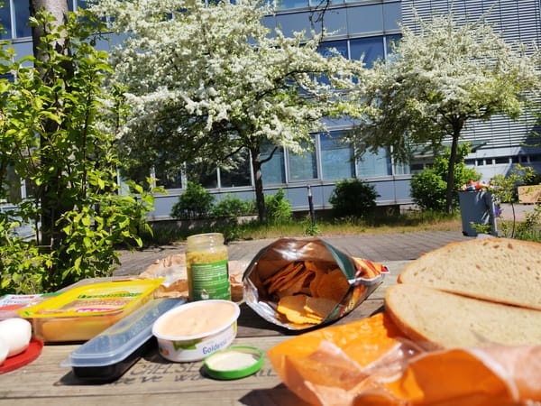 Picnic spread documented on outdoor table in Frankfurt