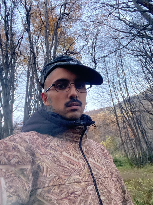 Person in camouflage walks through Ushuaia vegetation