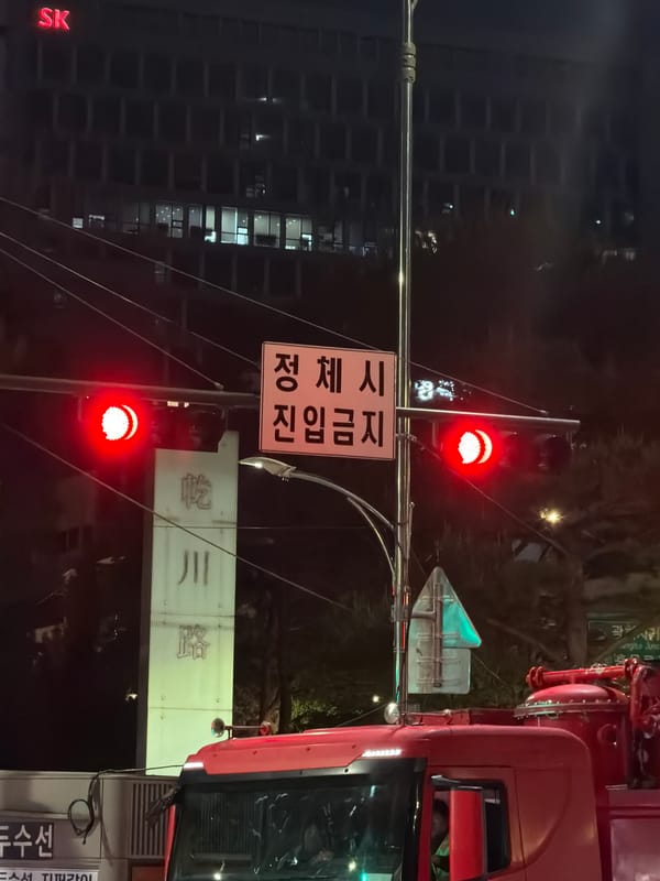 Seoul street life: traffic lights, trash collection, seafood displays