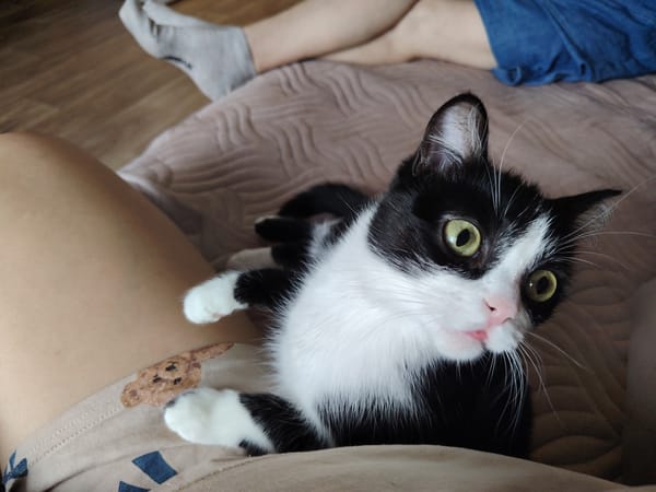 Woman shares tender moments with black and white cat