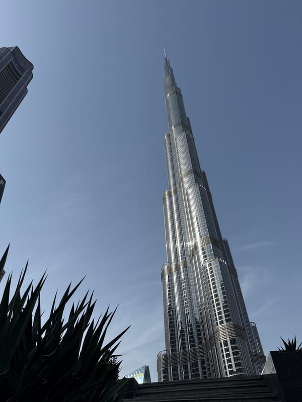 Dubai skyline and urban park documented during midday visit