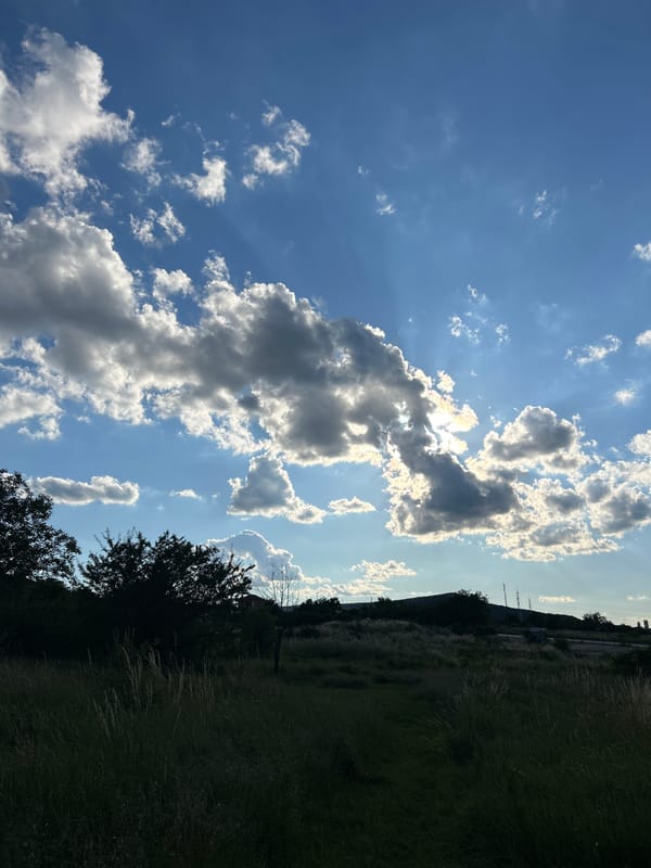 Peaceful afternoon with dramatic skies, house, and resting dog