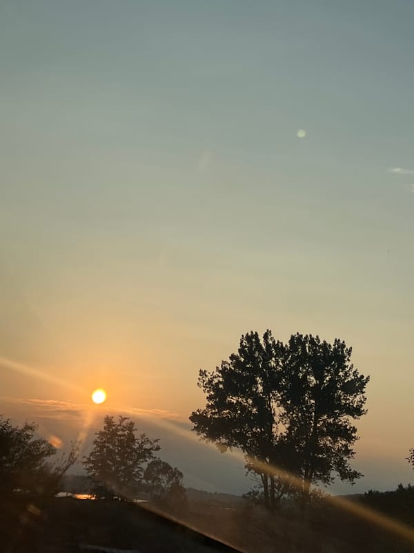 Quiet summer evening in rural Vertelka — cats, golden skies, everyday moments.