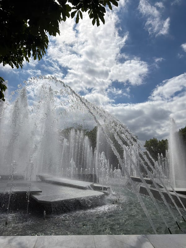 Fountain activity and urban wildlife documented in Pleven