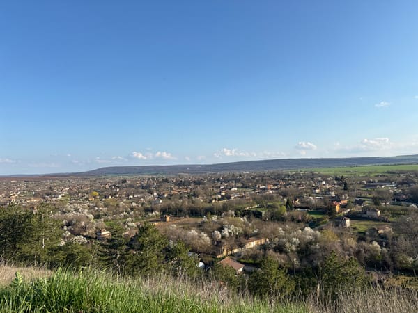 Elevated view captures town settlement with buildings and vegetation