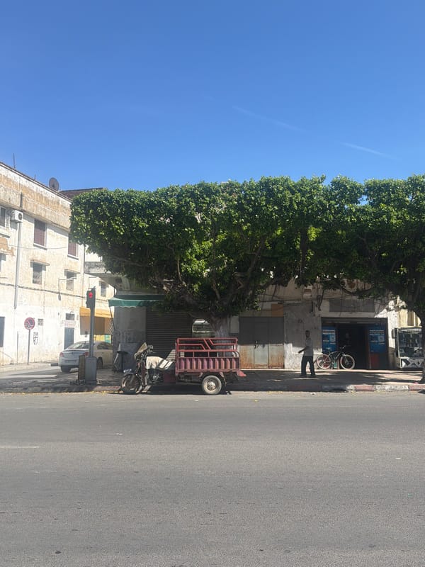 Ordinary street life documented in Kenitra, Morocco