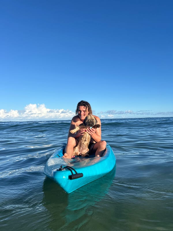 Man and dog spotted kayaking together off Bulli coast