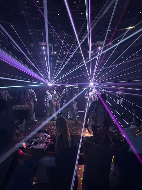 Entertainment performances and shows captured across Dubai venues