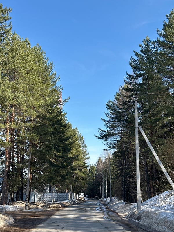 Winter landscape observations recorded in Прикамский, Russia