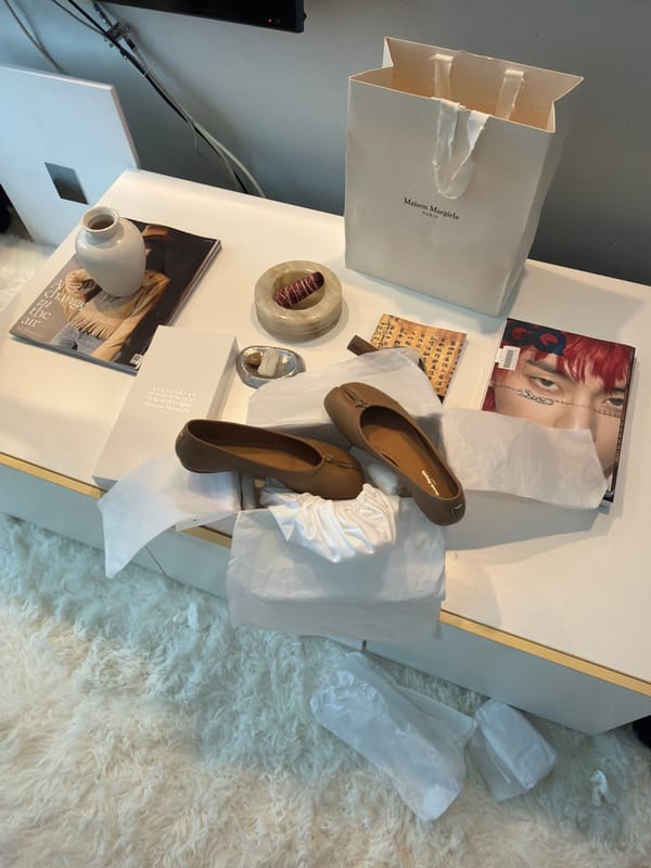 Fashion display documented in Seoul living space