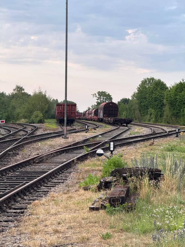 Red freight cars and a hare at a Regensburg rail yard