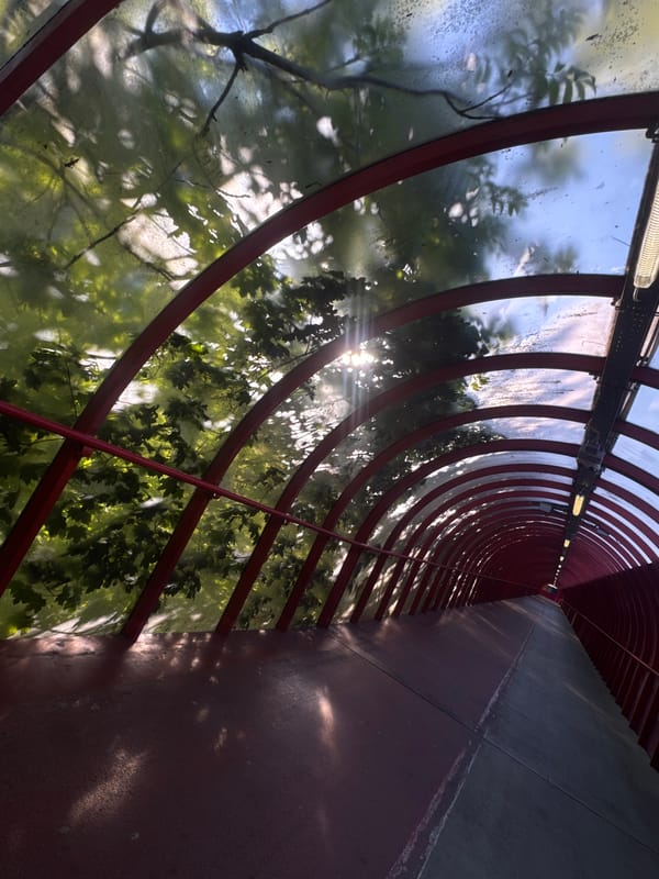 Glasgow Botanic Gardens tunnel structure documented by witnesses