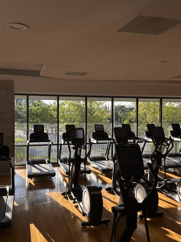 Fitness equipment documented at Puebla gym facility