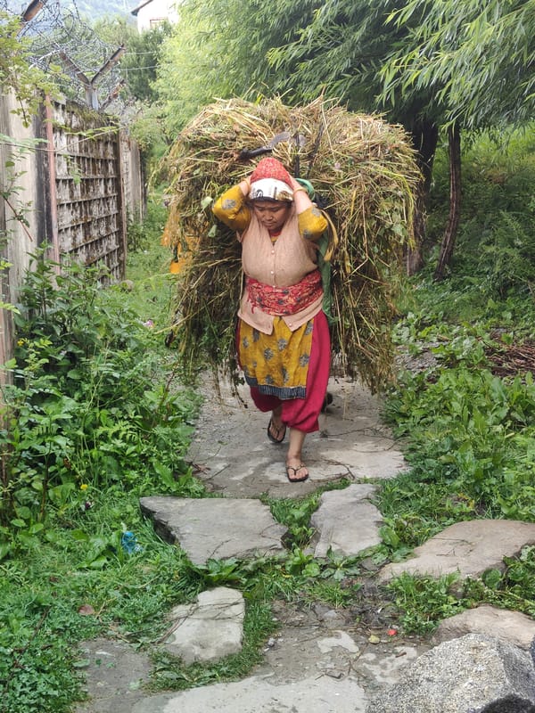 Village life and mountain landscapes in Bahang, India