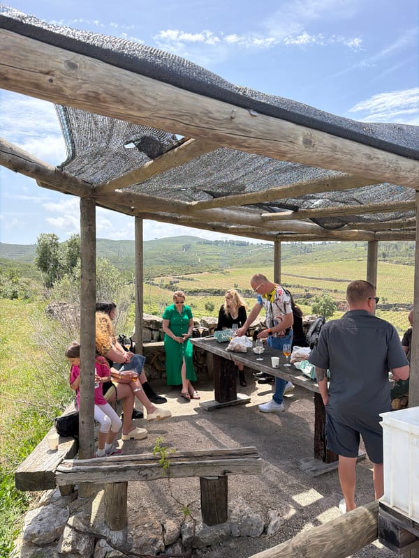 Social gathering observed under pergola in Bonastre, Spain