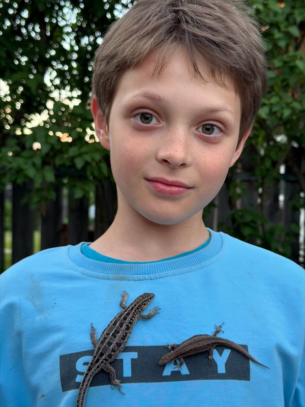 Boy handles lizards outdoors in rural Russian village