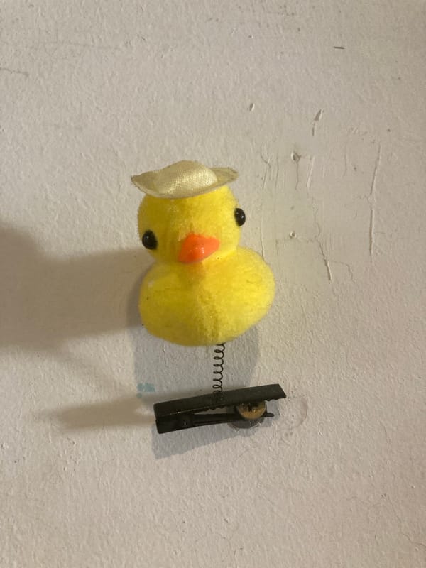 Household items documented: toy duck on wall, coffee setup