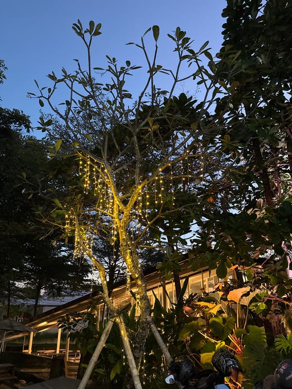 Inside a theatrical botanical bar-restaurant in North Kuta, Bali