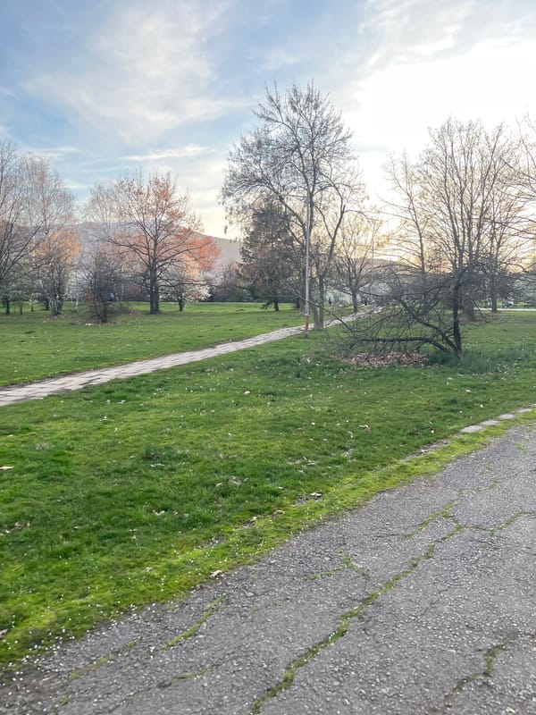 Person spotted in park during dusk hours