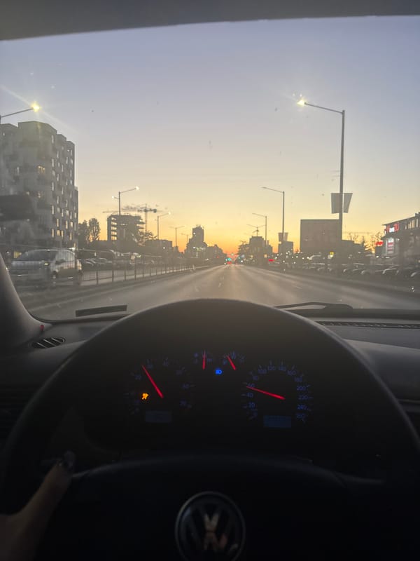 Driver travels varying speeds through Sofia streets Monday evening