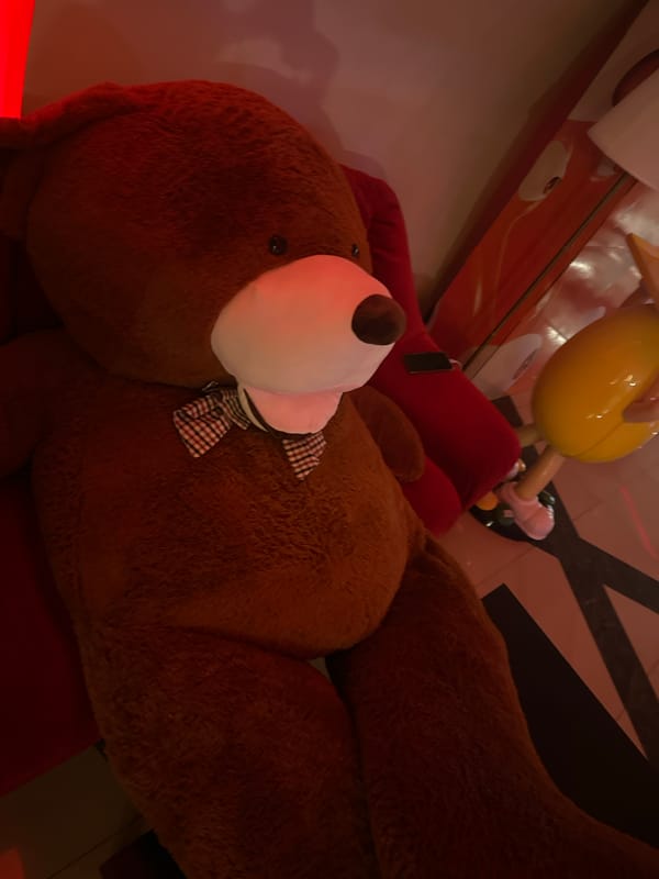 Plush toys and Euro cash on display in Sofia