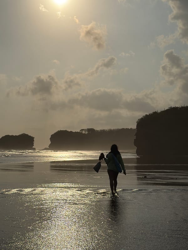 Black sand beach morning at Selemadeg's rugged Bali coastline