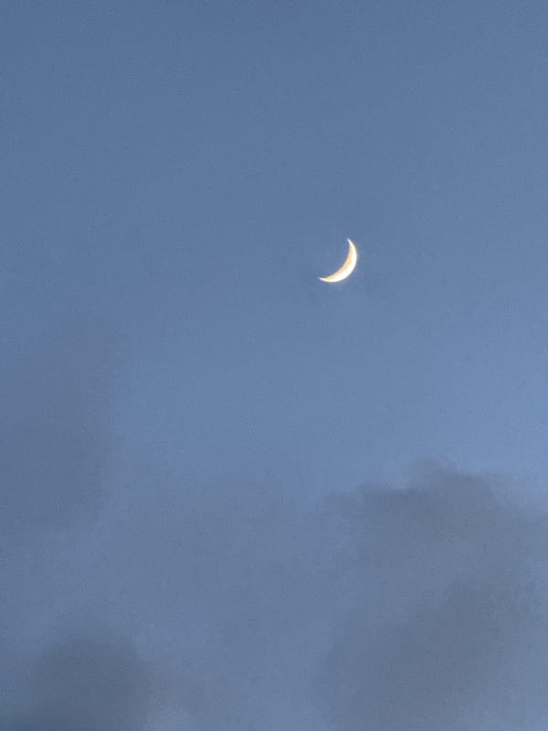 Gandia at dusk: parks, promenades, and a crescent moon