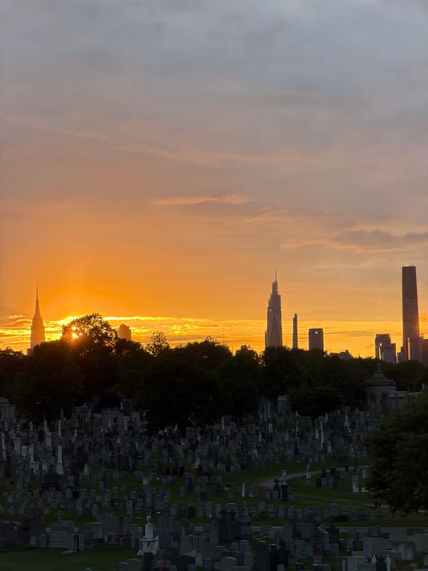 Golden sunset illuminates NYC skyline from cemetery viewpoint