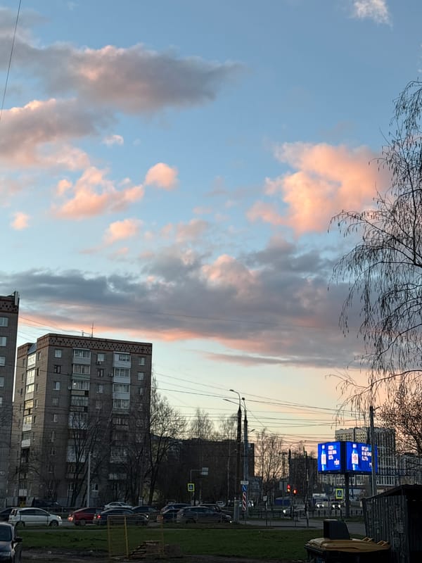 Twilight scenes and wet dog observed in Izhevsk