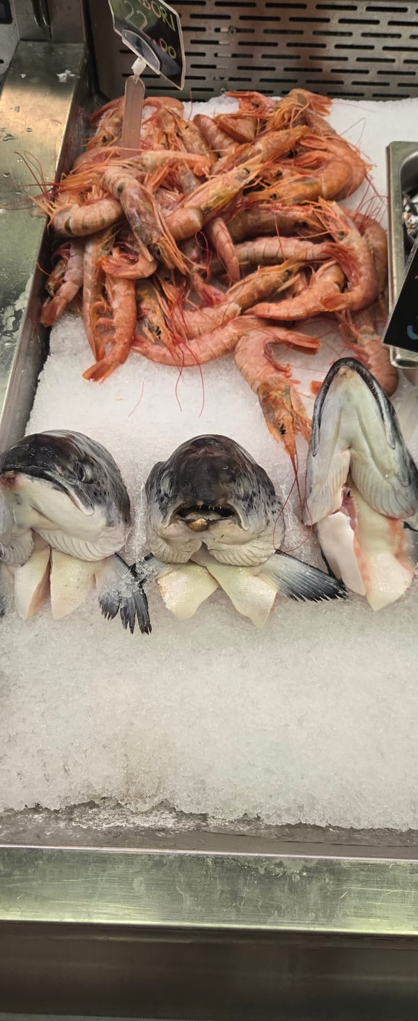 Seafood display with prawns and fish heads spotted in Budva