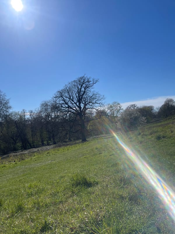 Spring day in Maidstone captures parks and seafood markets