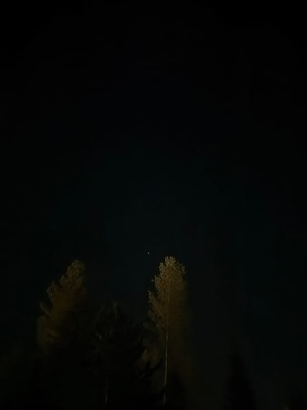 Tree reflection captured in nighttime scene in Озёрное, Russia