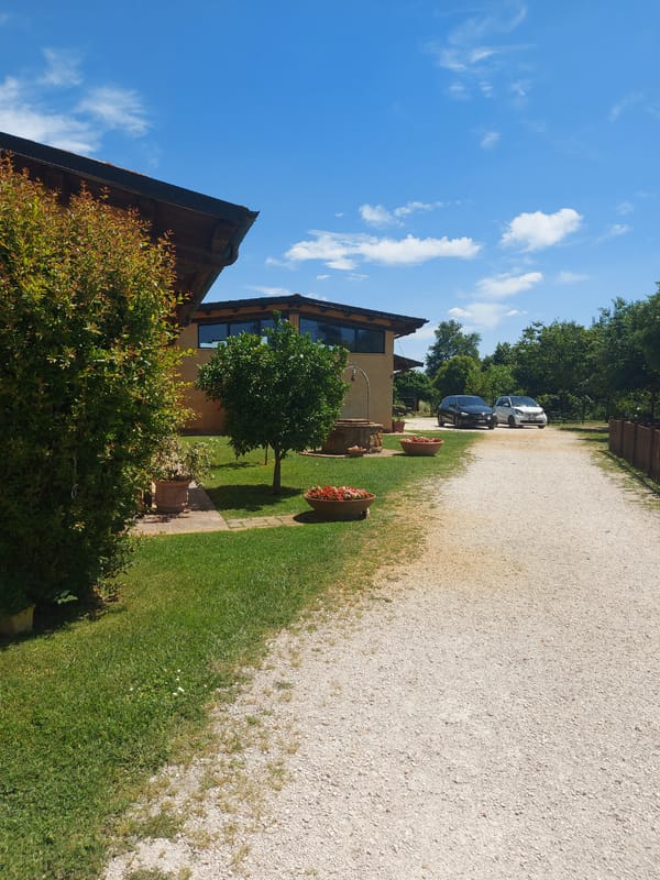 Witness documents sunny Rome outdoor spaces and pathways
