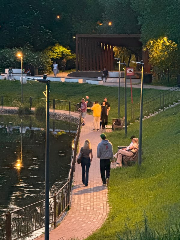 Evening dog walkers gather at Moscow waterfront park