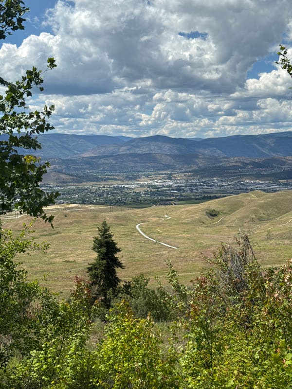 Valley views from a hilltop in the Okanagan, midsummer evening