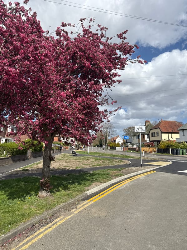 Spring blossoms observed on Gorleston-on-Sea street scene