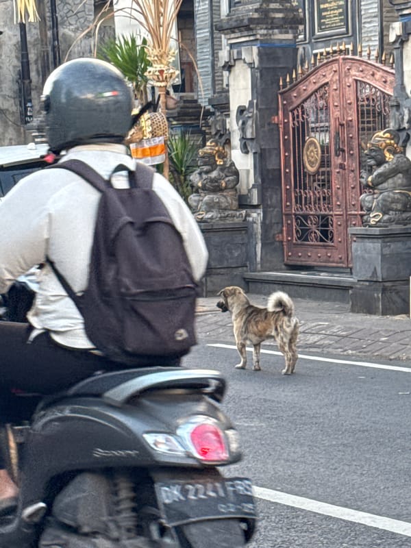 Everyday street life in Kuta, Bali
